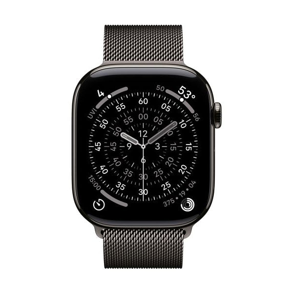 Apple Milanese Loop 46 mm Slate M/L