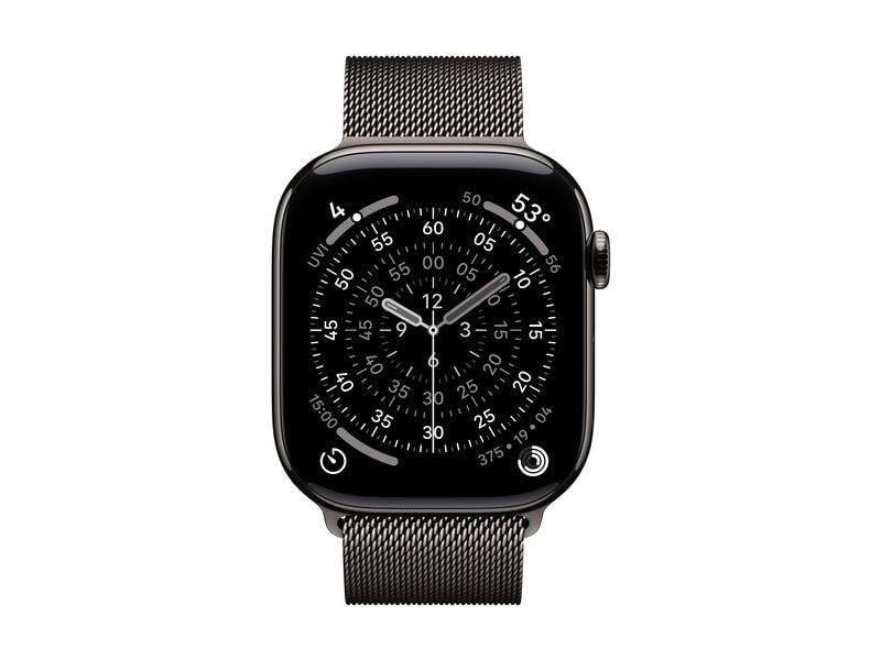 Apple Milanese Loop 46 mm Slate M/L