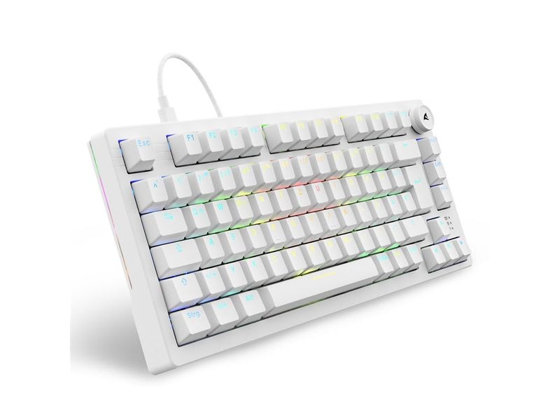 Sharkoon Gaming-Tastatur SKILLER SGK25