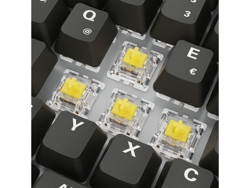 Sharkoon Gaming-Tastatur SKILLER SGK50 S3 PBT