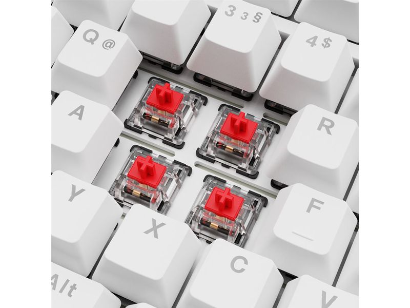 Sharkoon Gaming-Tastatur SKILLER SGK25