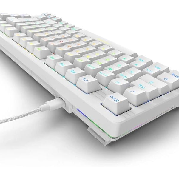 Sharkoon Gaming-Tastatur SKILLER SGK25