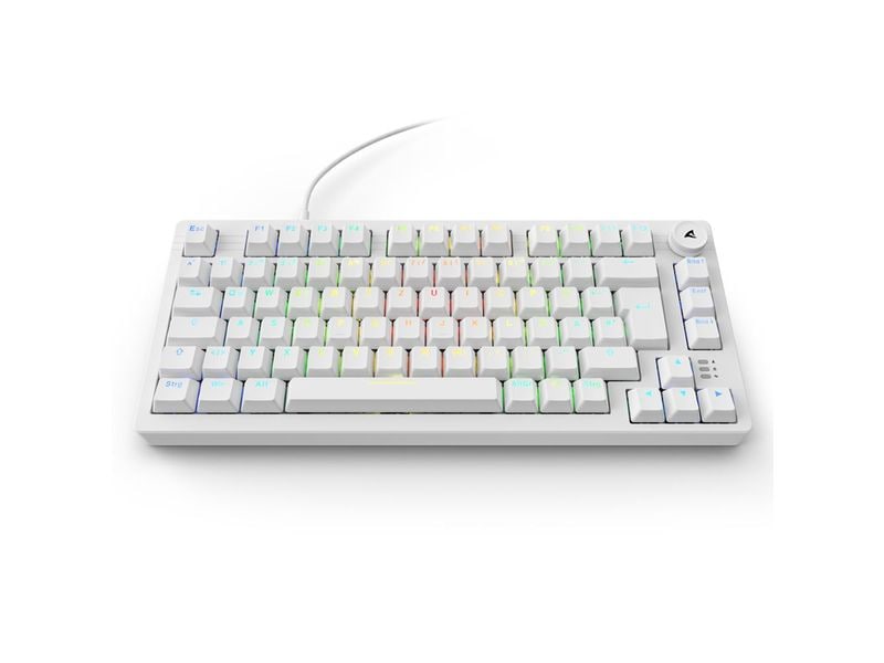 Sharkoon Gaming-Tastatur SKILLER SGK25