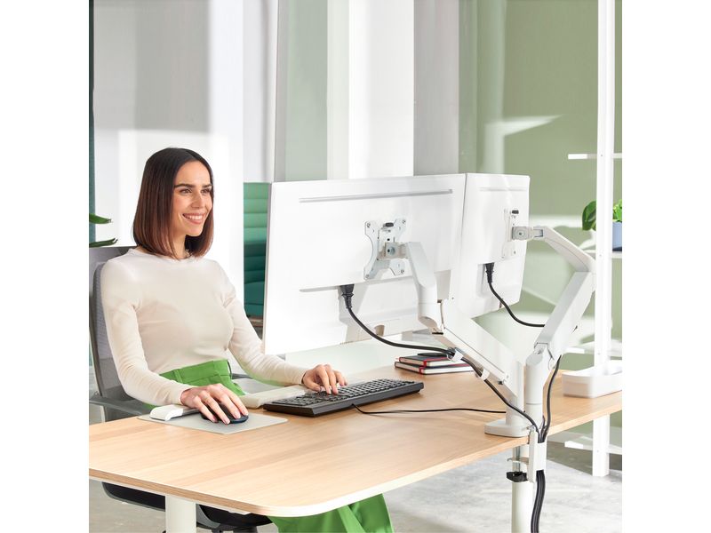 Leitz Tischhalterung Dual Monitorarm Ergo bis 9 kg – Grau