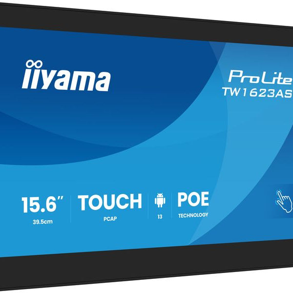 iiyama Monitor ProLite TW1623AS-B3P