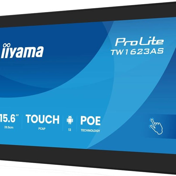iiyama Monitor ProLite TW1623AS-B3P