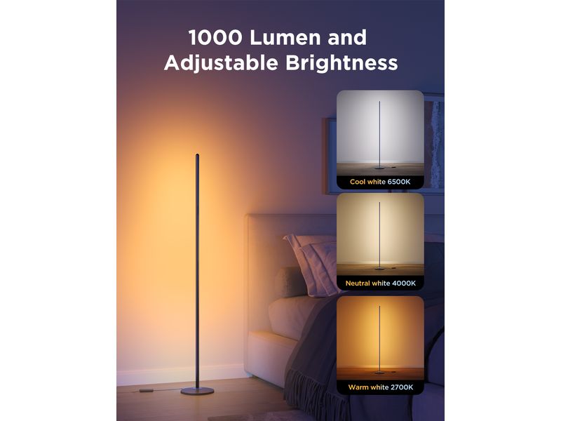 Govee Stehleuchte Govee RGBICW mit Matter