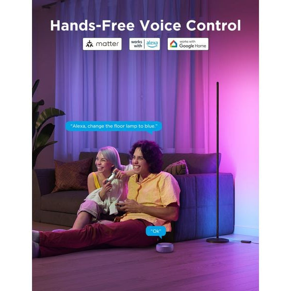 Govee Stehleuchte Govee RGBICW mit Matter