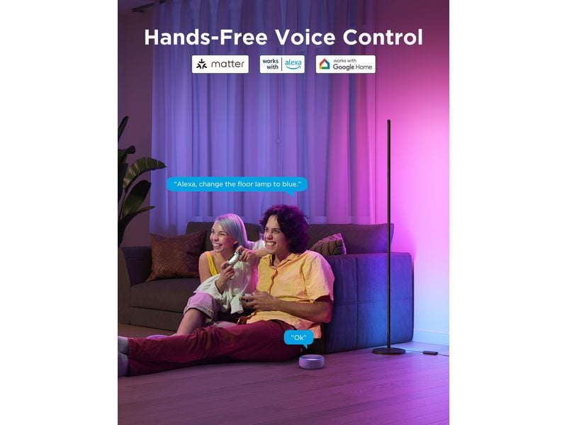 Govee Stehleuchte Govee RGBICW mit Matter