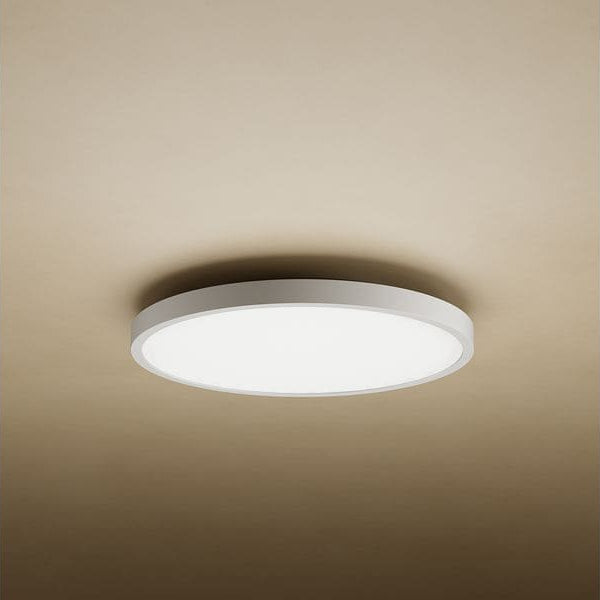 Xiaomi Smart Ceiling Light D30 2700–5700K