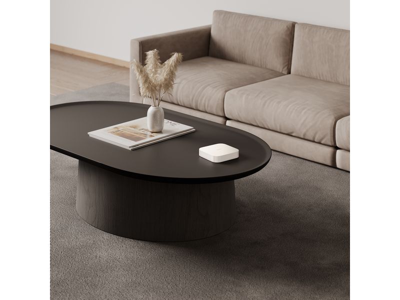 Xiaomi Smart Home Hub 2