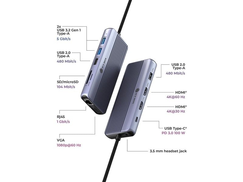ICY BOX 12-in-1 DockingStation
