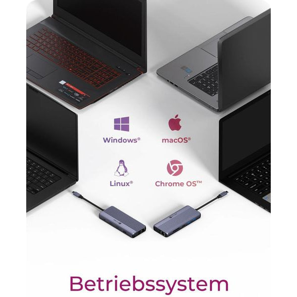 ICY BOX 12-in-1 DockingStation