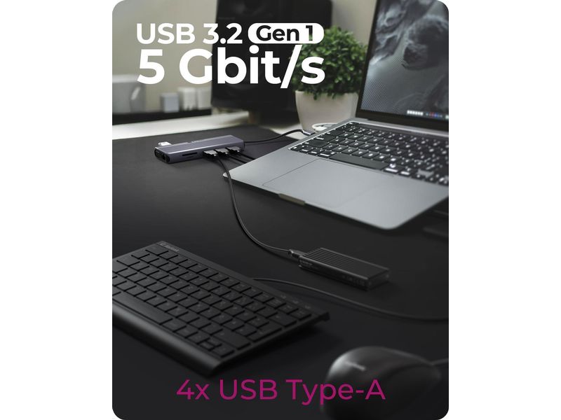 ICY BOX 12-in-1 DockingStation