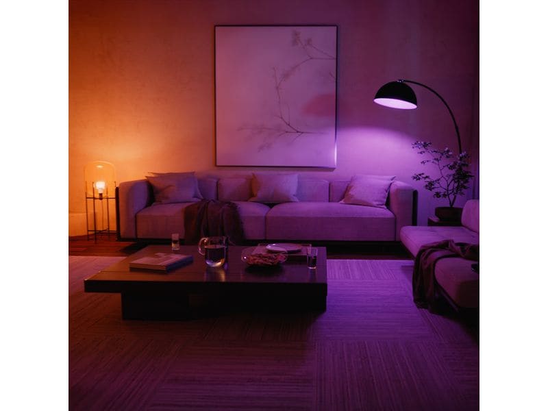 Philips Hue Leuchtmittel White & Col. Amb. E27 Doppelpack 2x 1100 lm