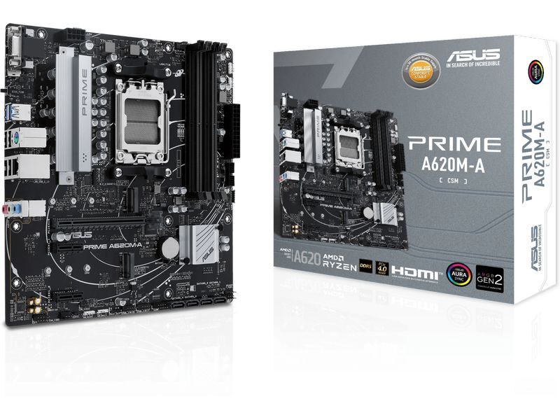 ASUS Mainboard PRIME A620AM-A-CSM