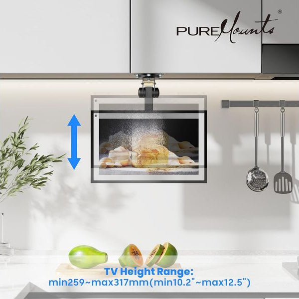 PureMounts Deckenhalterung PM-SLOPE-27