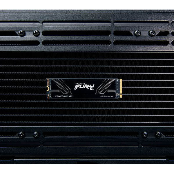 Kingston SSD FURY Renegade G5 M.2 NVMe 8000 GB