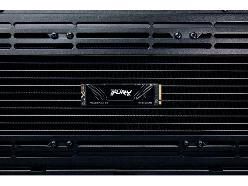 Kingston SSD FURY Renegade G5 M.2 NVMe 8000 GB