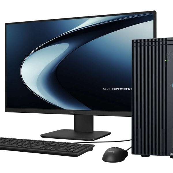 ASUS PC ExpertCenter P500 (P500MV-07240H013X)