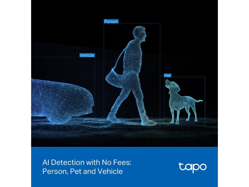 TP-Link Netzwerkkamera Tapo C545D Outdoor Dual-Lens Pan/Tilt