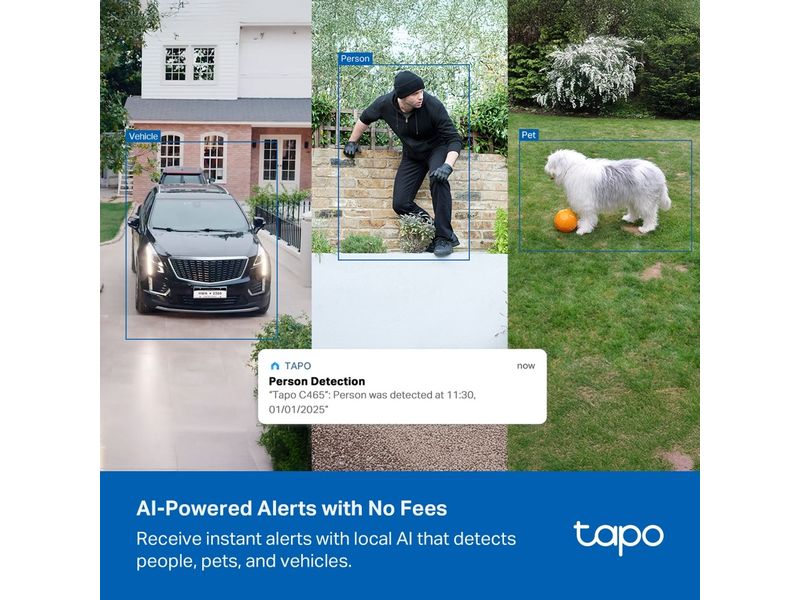 TP-Link Netzwerkkamera Tapo C465 4K Solar mit Akku und KI-Erkennung