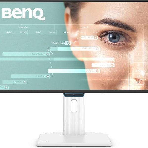 BenQ Monitor GW2490TC