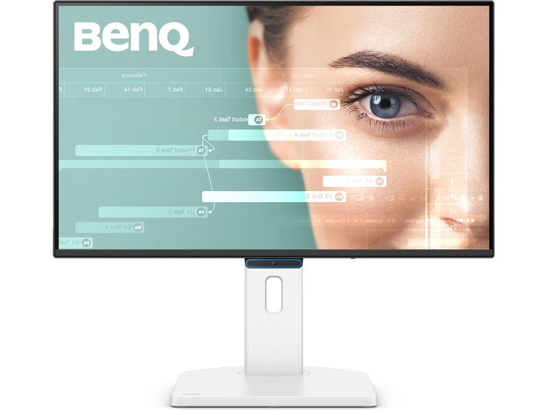 BenQ Monitor GW2490TC