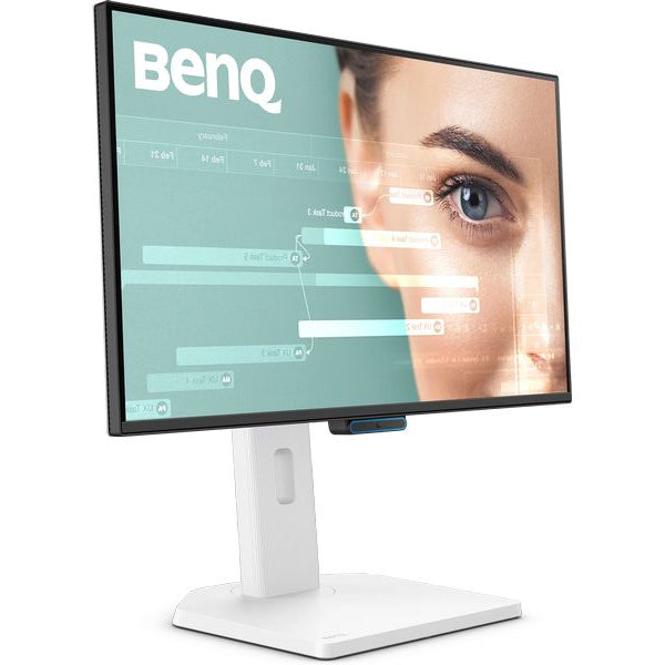 BenQ Monitor GW2490TC