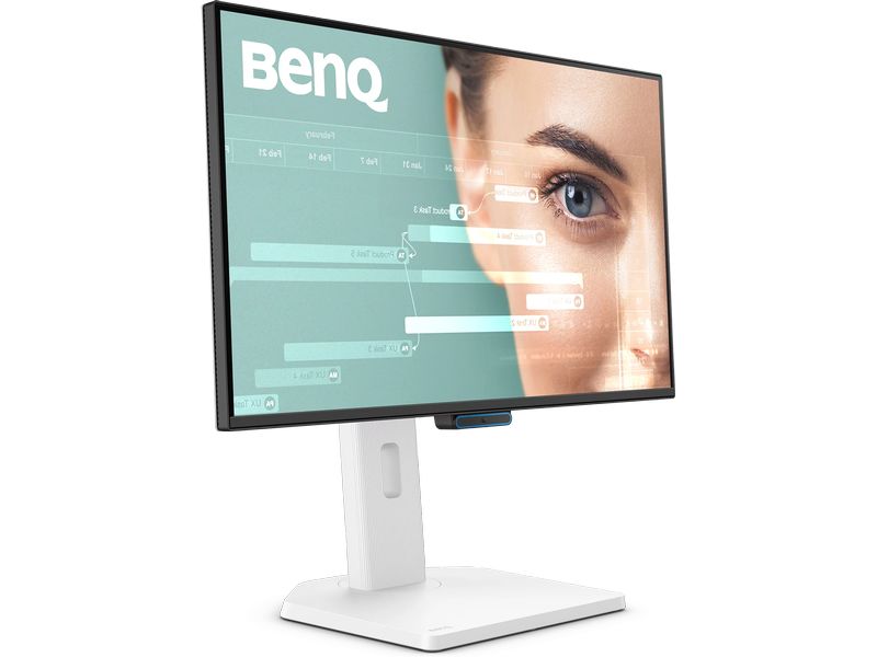 BenQ Monitor GW2490TC