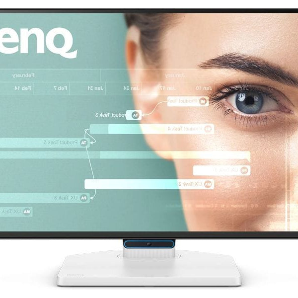 BenQ Monitor GW2490TC
