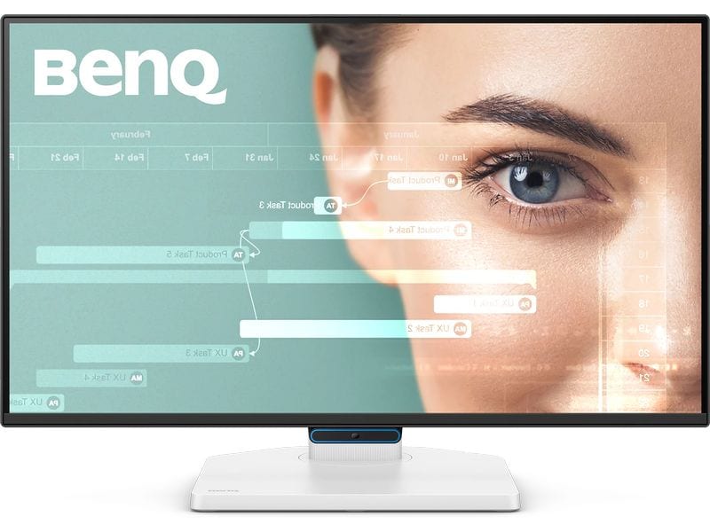 BenQ Monitor GW2490TC