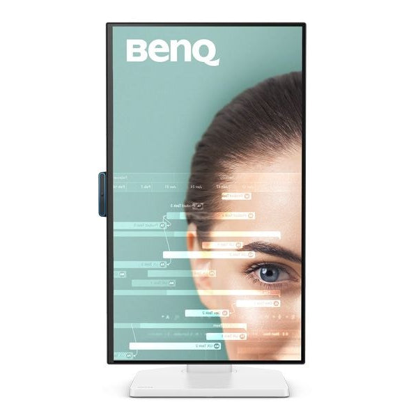 BenQ Monitor GW2490TC