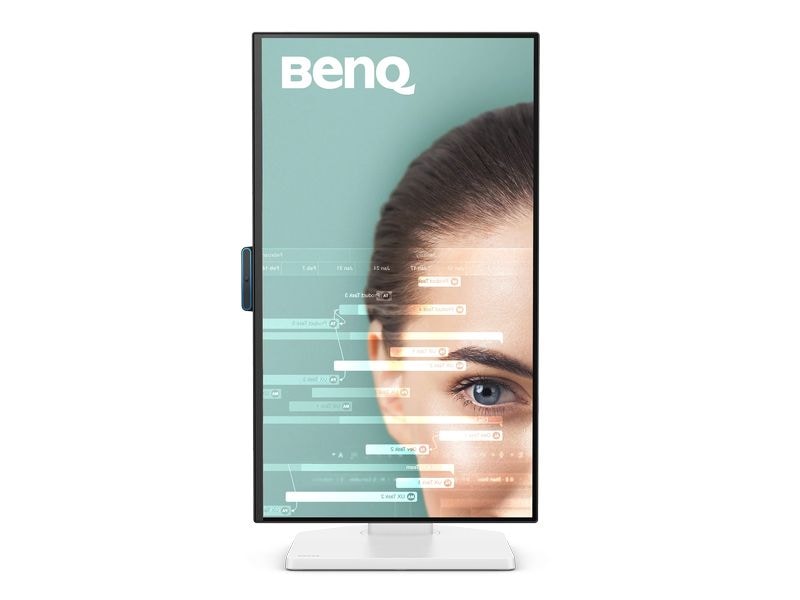 BenQ Monitor GW2490TC