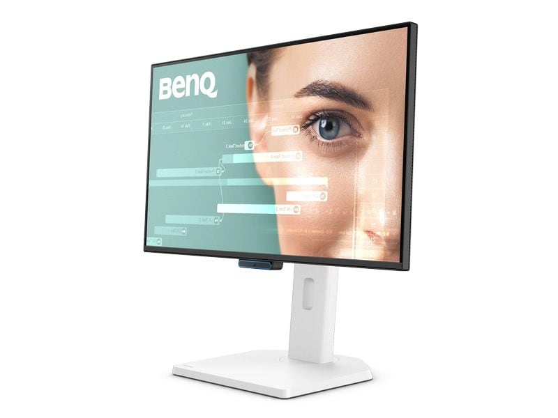 BenQ Monitor GW2490TC