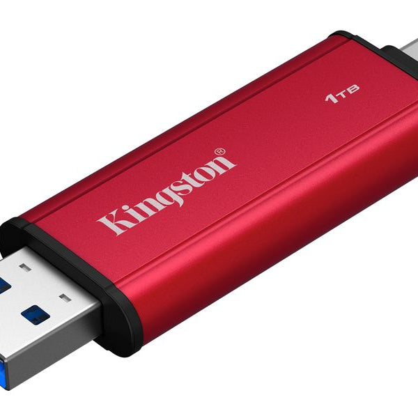 Kingston Externe SSD Dual Portable 1000 GB