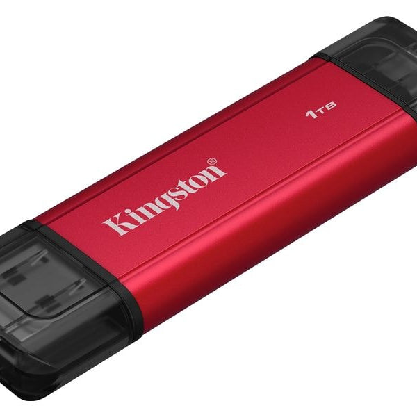 Kingston Externe SSD Dual Portable 1000 GB