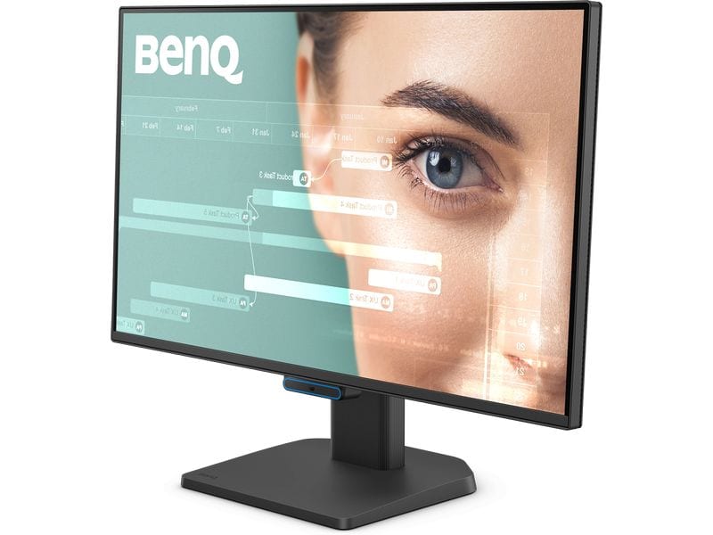 BenQ Monitor BL2490C