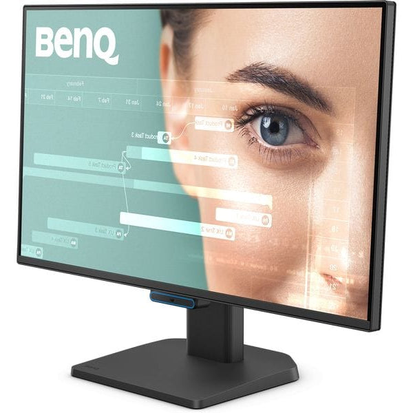 BenQ Monitor GW2490C