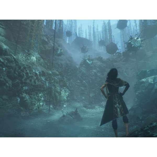 Bandai Namco Clair Obscur: Expedition 33 [PS5] (Box)