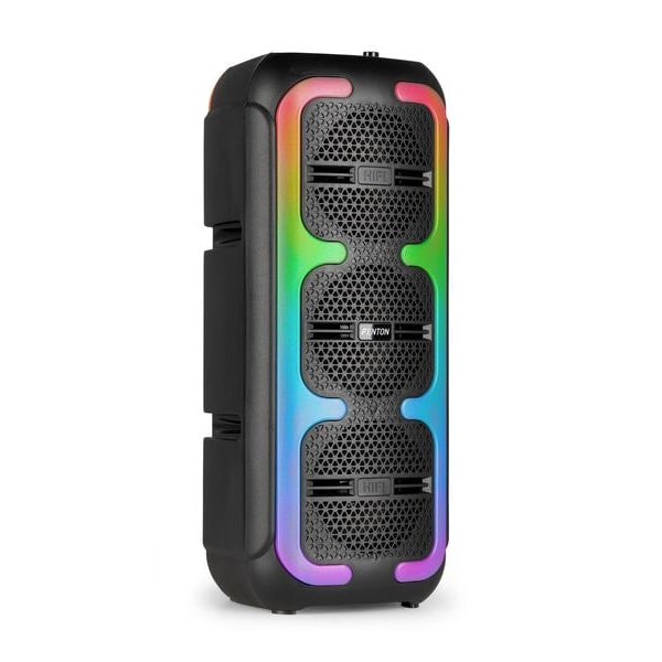 Fenton Lautsprecher Track310