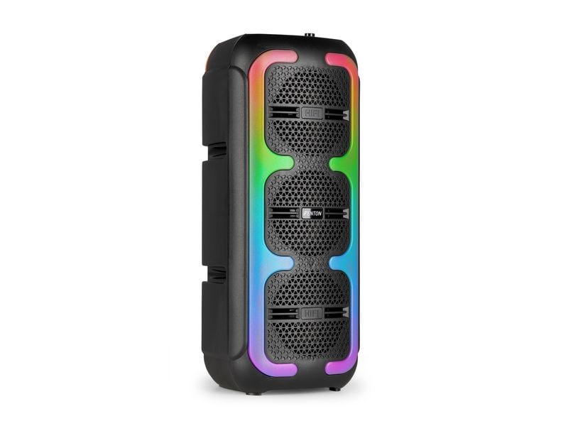 Fenton Lautsprecher Track310