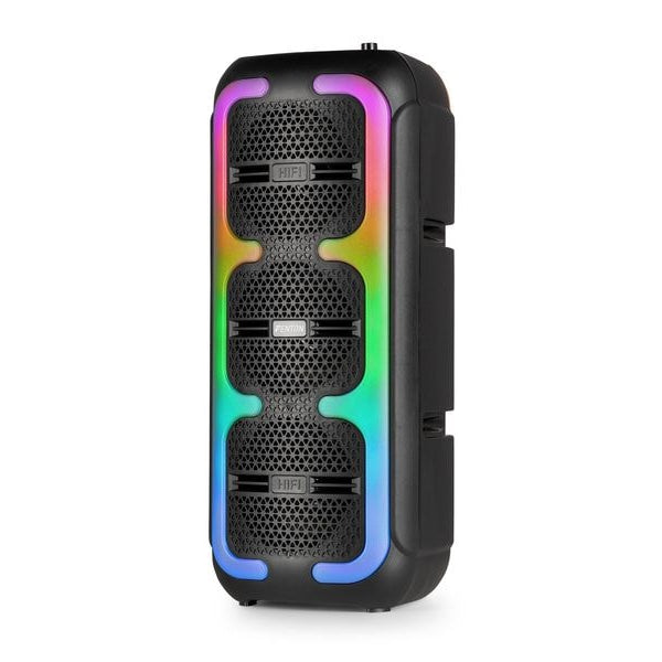 Fenton Lautsprecher Track310