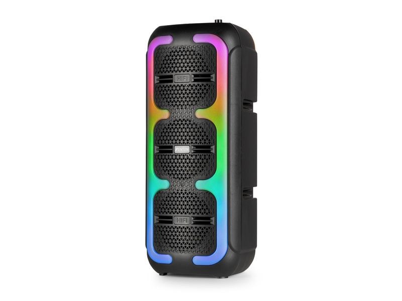 Fenton Lautsprecher Track310