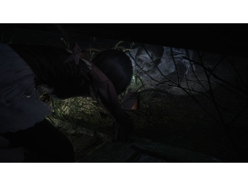 Koei Tecmo Fatal Frame II:Crimson Butterfly(Remake) (Game-Key Card)