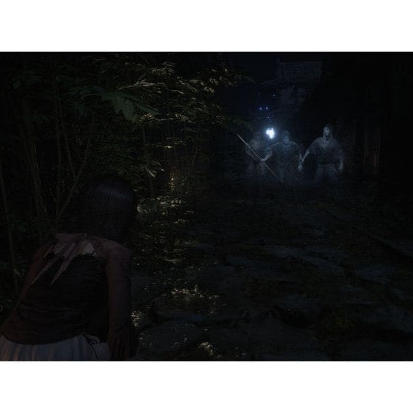 Koei Tecmo Fatal Frame II:Crimson Butterfly(Remake) (Game-Key Card)