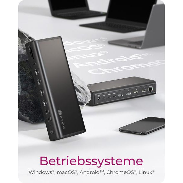 ICY BOX Dockingstation IB-DK7401-CU31