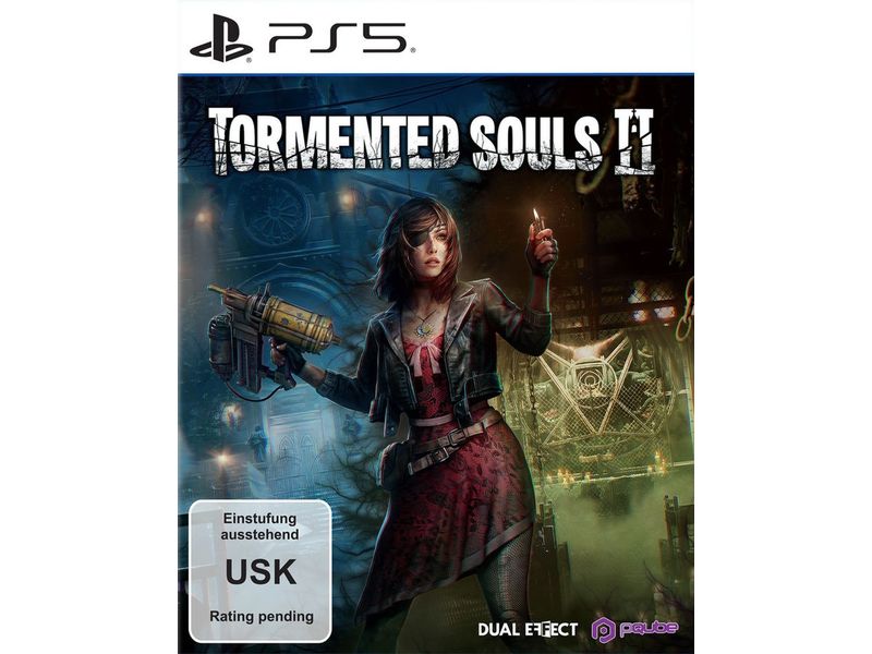 Flashpoint Tormented Souls 2 [PS5] (D) (Box)