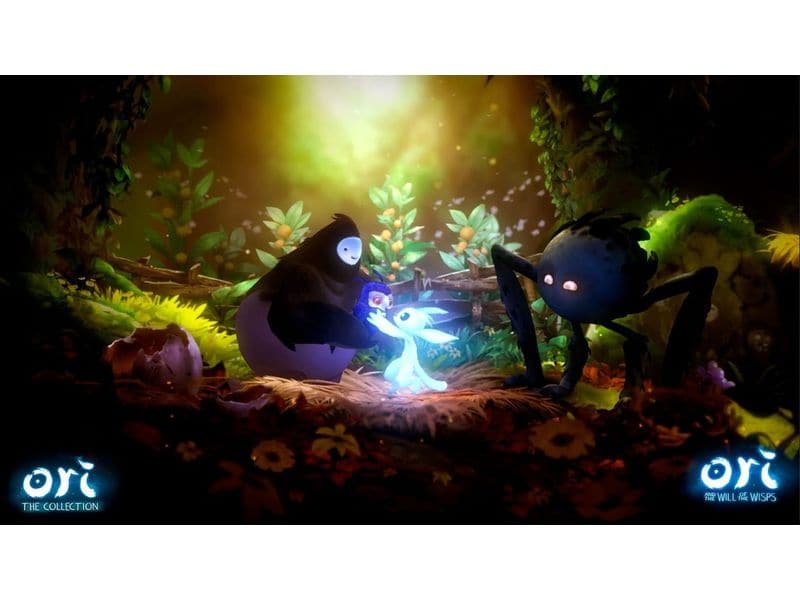 Flashpoint Ori: The Collection [NSW] (D) (Box)