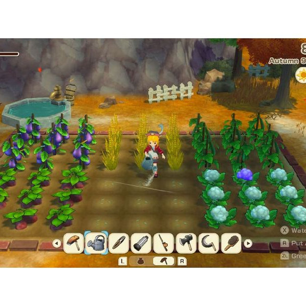 Marvelous Games Story of Seasons: Grand Bazaar [NSW] (D) (Box)